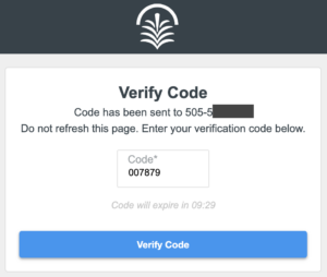login with code screen with sample code entered