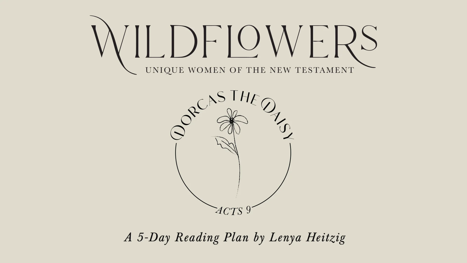 Wildflowers: Dorcas the Daisy
