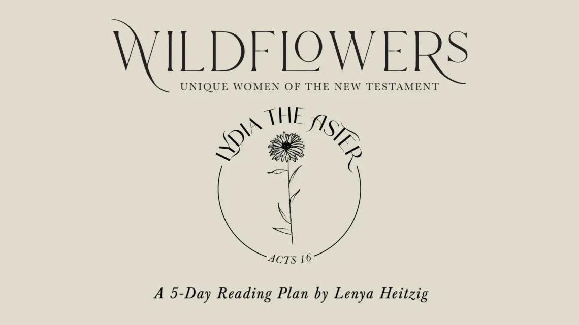 YouVersion Plan, Wildflowers Lydia the Aster