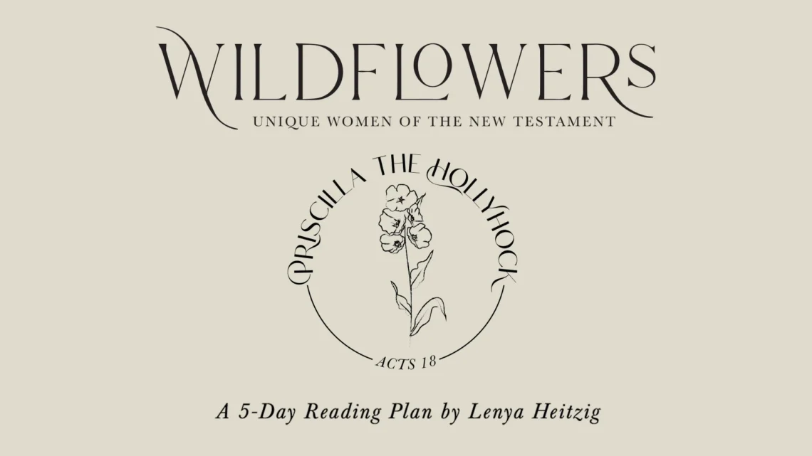 YouVersion Plan, Wildflowers Priscilla the Hollyhock